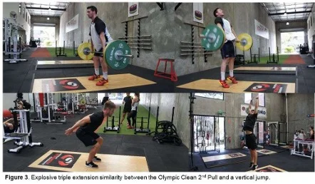 Comparación de la triple extensión del Olympic Clean 2nd Pull con el salto vertical, mostrando similitudes biomecánicas entre la halterofilia y los gestos deportivos explosivos