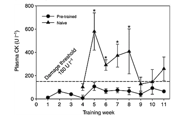 Hipótesis del Daño Muscular