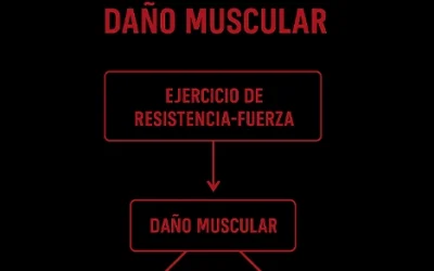 Dañar tus músculos no es igual a más fuerza